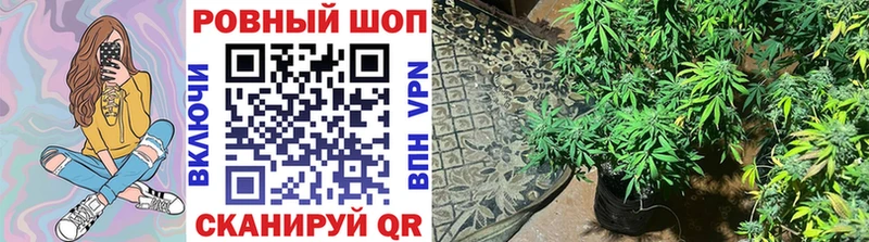 Виды наркотиков купить Ленск АМФ  Меф  Alpha PVP  ГАШ  Cocaine 