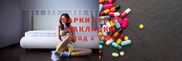 шишки Белокуриха