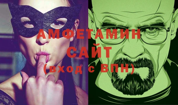 шишки Белокуриха