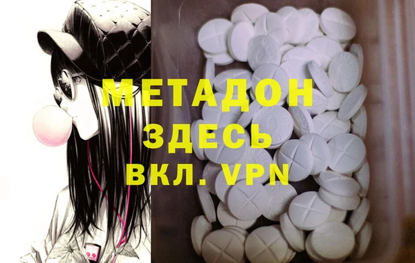 шишки Белокуриха