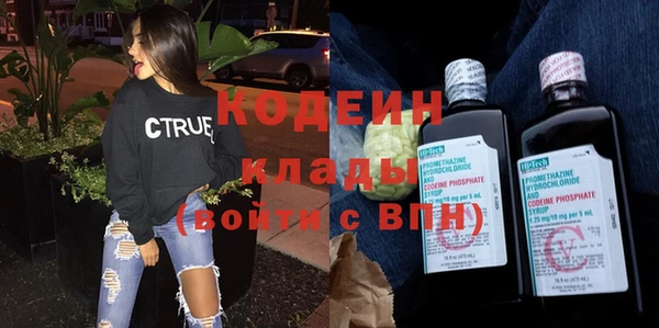 шишки Белокуриха