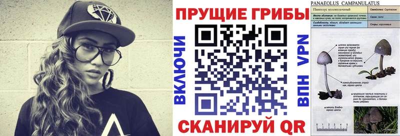 Псилоцибиновые грибы прущие грибы  блэк спрут зеркало  Ленск  купить  